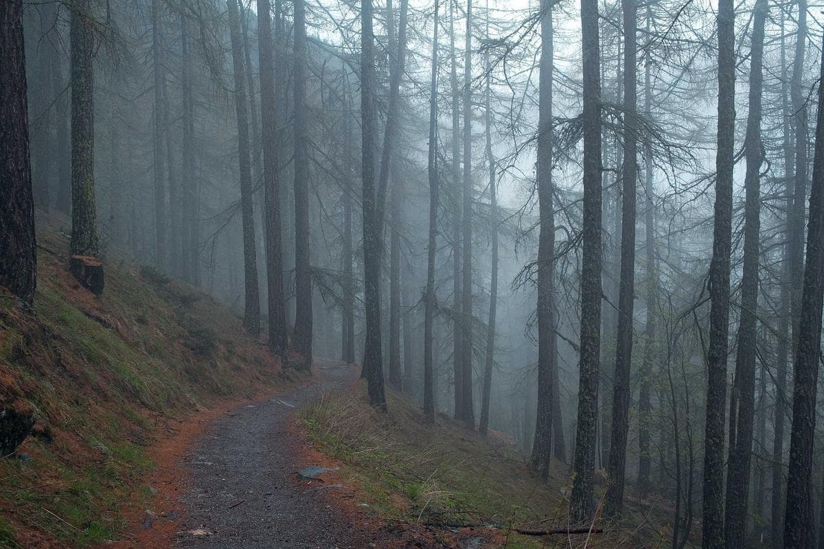 সন্ত্রাস: সন্ত্রাসবাদ রোধে জনসচেতনতা