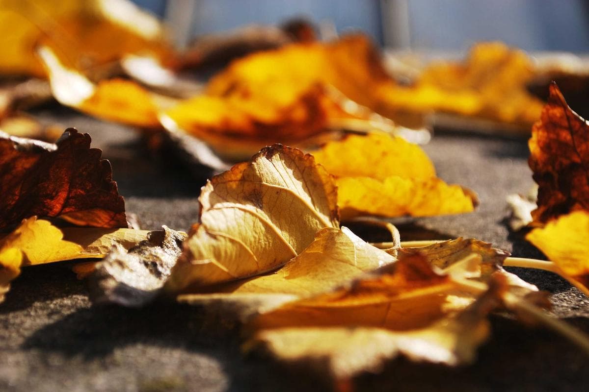 মতামত: যুবসমাজ ও মূল্যবোধ